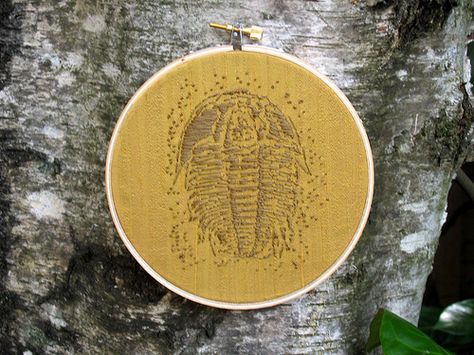 embroidered trilobite Fossil Embroidery, Quirky Crafts, Diy Knit, Diy Knitting, Embroidery Ideas, Embroidery Tutorials, Cute Crafts, My Eyes, Needle And Thread