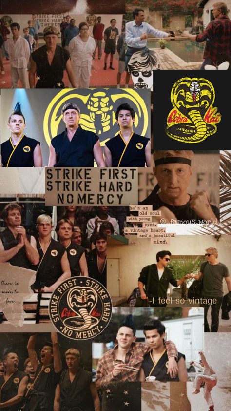 Falco Cobra Kai, Cobra Kai Aesthetic Wallpaper, Cobra Kai Wallpaper Iphone, Karate Kid Quotes, Cobra Kia, Cobra Kai Wallpaper, Kobra Kai, Kai Wallpaper, Jacob Bertrand