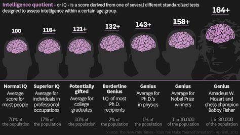 12 Interesting Facts About IQ To Entertain Your Brain Iq Range, Iq Test Questions, Intelligence Quotient, Test For Kids, German Phrases, Intelligence Test, Test Quiz, The Human Brain, High Iq