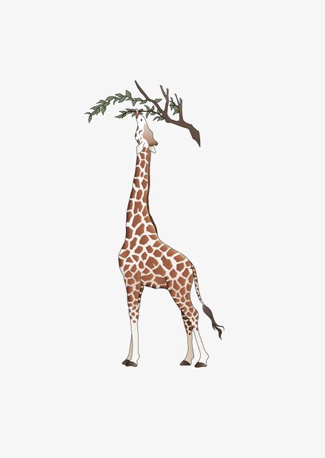 Giraffe Eating Leaves Drawing, Giraffe Eating Leaves, Giraffe Eating, Embroidery Drawing, Animal Png, Baby Boy Knitting, Leaf Drawing, Tree Drawing, Animal Posters