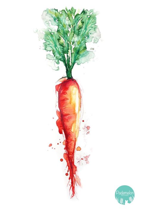 Carrot Drawing, Watercolour Food, Fruit Art Drawings, Food Watercolor, Loose Watercolor Paintings, Vegetable Painting, Herb Prints, Watercolor Food, Watercolor Paintings For Beginners