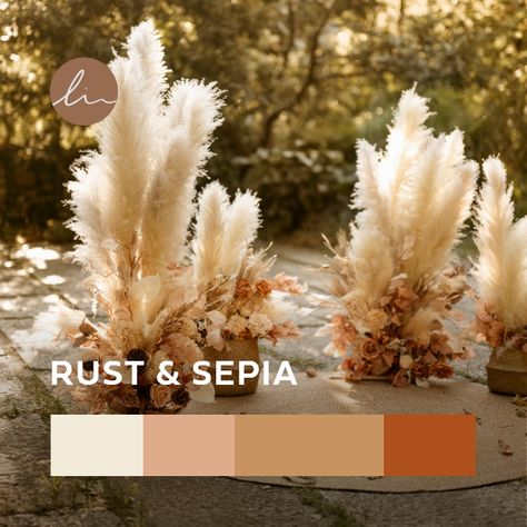 Rust And Sepia Wedding, Sepia Wedding, Ceremony Flowers Aisle, Aisle Arrangements, Rustic Romance, Wedding 2024, Floral Collection, Ceremony Flowers, Champagne Wedding