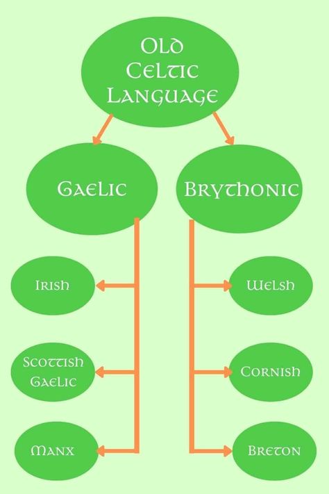 𝙅𝙤𝙨𝙝𝙪𝙖 𝙈𝙤𝙧𝙜𝙖𝙣 (@joshuwaamorgan) on Threads Celtic Language, Irish Gaelic Language, Celtic Words, Irish Language, Irish Gaelic, Celtic Heritage, Scottish Gaelic, American Mom, European Languages