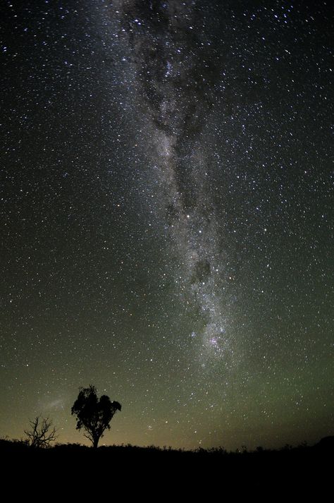 Just a speck! Real Star, Space Pictures, Milky Way Galaxy, Galaxies Stars, Space Stars, To Infinity And Beyond, The Night Sky, Space And Astronomy, Beautiful Sky