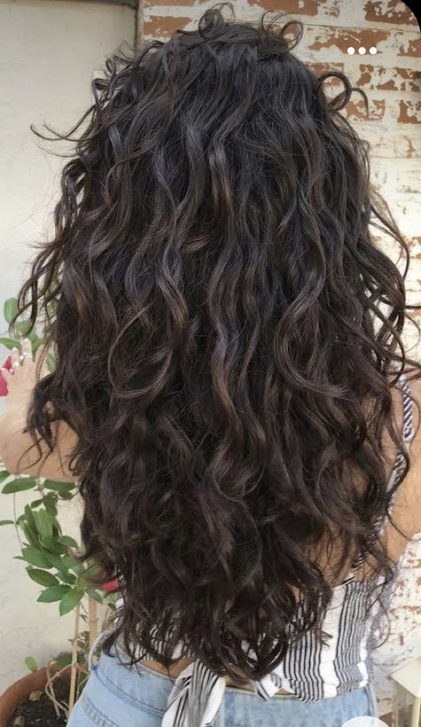 Brunette Hair Inspiration, Wavy Hair 2b, Brunette Curly Hair, Long Curly Haircuts, Black Wavy Hair, Natural Curly Hair Cuts, Haircuts For Wavy Hair, Hair 2024, Medium Long Hair