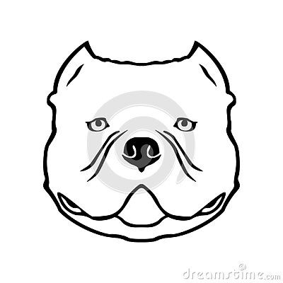 American bully dog emblem. American bully head drawing. Vector illustration on white background. American Bully Drawing, American Bully Dog, Bulldog Drawing, Pocket Bully, Head Drawing, Bully Dog, Drawing Vector, Dog Books, Instagram Highlights