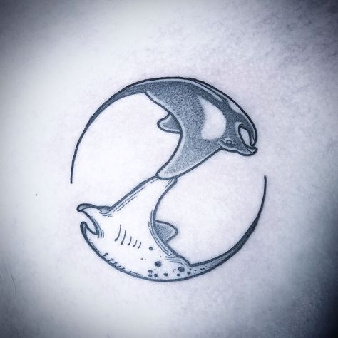 Stingray Tattoos, Ribs Quotes, Surfboard Decoration, Manta Ray Tattoo, Small Geometric Tattoo, Ohana Tattoo, Stingray Tattoo, Ray Tattoo, Dove Tattoo