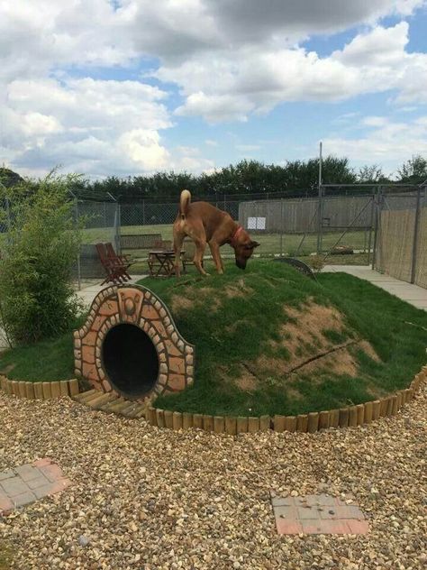 Backyard Dog Area, Dog Play Area, Katt Diy, Dog Backyard, Cool Dog Houses, Dog Yard, Dog Playground, Dog House Diy, Dog Area