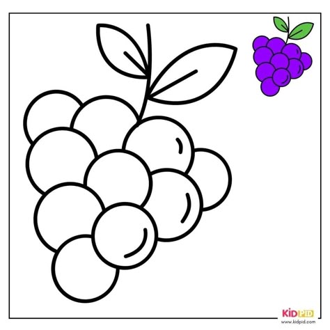 Emotions Words, Improve Knowledge, Grape Drawing, Color Worksheets For Preschool, Fruit Coloring, Preschool Activities Printable, Flamingo Craft, Penguin Coloring Pages, Flower Pattern Drawing