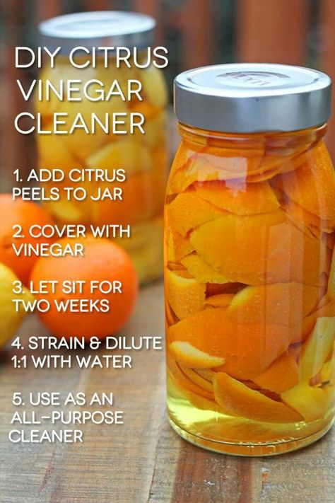 Adicione cascas de laranja (ou qualquer casca de frutas cítricas) para um litro… Vinegar Cleaner Recipe, Orange Peel Vinegar, Cleaning Vinegar, Joululahjat Diy, Diy Cleaner, Citrus Cleaner, Vinegar Cleaner, Orange Peels, Thrifty Thursday