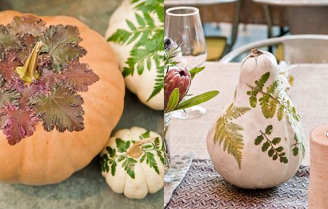 How-To: Botanical Pumpkins | The BLOG at Terrain - Terrain Diy Pumpkins Crafts, Decorative Pumpkins, Large Pumpkins, Cute Diy Projects, Pretty Pumpkins, Beautiful Pumpkins, Pumpkin Fall Decor, Botanical Beauty, Harvest Season