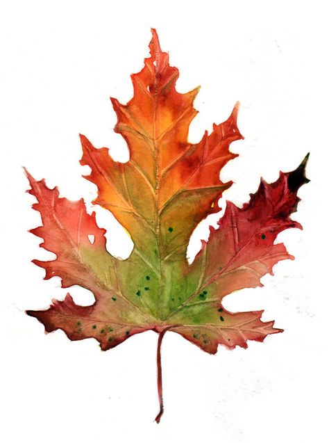 Fall Watercolor Ideas, Fall Leaf Painting, Autumn Leaf Painting, Maple Leaf Watercolor, Fall Watercolor Art, Painted Fall Leaves, Fall Leaves Painting, Themes To Draw, Fall Leaves Watercolor