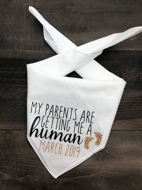 My Parents are Getting Me A Human Dog Bandana. Pregnancy | Etsy Wedding Ceremony Backdrop Diy, Pictures With Dogs, Pregnancy Announcement Dog, Human Dog, Dog Pregnancy Announcement, Awesome Mom, Pregnant Dog, Newborn Mom, Dog Insurance