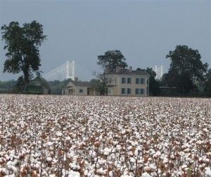 Greenville Mississippi, Arkansas Travel, Mississippi Delta, River Bridge, Port City, New River, Veterans Memorial, River Boat, City Limits