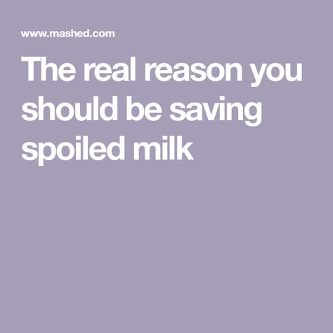 The real reason you should be saving spoiled milk Dan Barber, Expiration Dates On Food, Stomach Cramps, Digestive Issues, Fresh Cheese, Fresh Milk, Tasting Table, Milk Cans, Too Soon