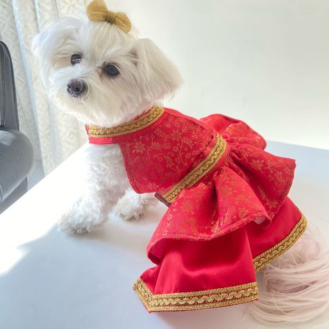 Bring regal charm to your pampered pooch’s ethnic closet with the Ruby Bloom Sherwani for him & Lehenga Choli for her 🐶🫶✨ DM @coochipoo_official to customise a twinning set for your adorable pets 💌 LINK IN BIO to shop ethnics 🌟 #dogclothing #dog clothes #dogsherwani #lehengacholi #furrysiblings #twinning #dogethnicwear #ethnicwear #festivewear #rakhi #rakhibandhan #dograkhi #dogootd Dog Indian Outfit, Pampered Pooch, Indian Outfit, Adorable Pets, Lehenga Choli, Traditional Wedding, Festival Wear, Indian Outfits, Traditional Dresses