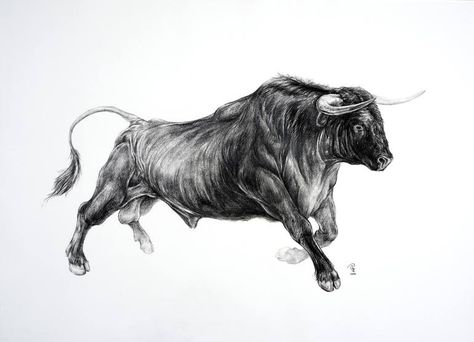 Bull Art Drawing, Toro Vector, Bull Drawing, Bull Animal, Bull Artwork, Charging Bull, Bull Painting, Bull Art, Bull Tattoos