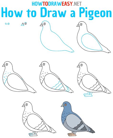 How to Draw a Pigeon Step by Step #Pigeon #PigeonDrawing #EasytoDrawPigeon #HowtoDrawPigeon #PigeonStepbyStepDrawing #Drawings #Drawing #EasyDrawing #DrawingTutorial #HowtoSketch #Sketch #AnimalDrawing #AnimalDrawings #DrawingGuides #EasyDrawingGuides #EasyDrawingTutorials Pigeon Drawing, Simple Bird Drawing, Simply Draw, Draw Rose, Dove Drawing, Cartoon Doodles, Draw Birds, Bird Reference, Drawing Birds