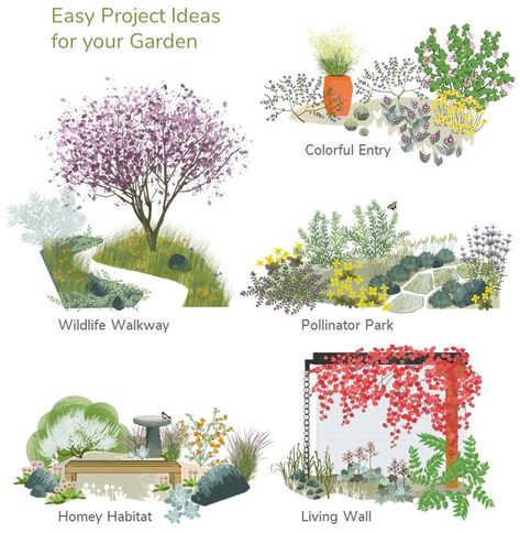 California Garden Design, California Native Landscape, Flower Planting Guide, California Landscaping, Native Plant Landscape, California Native Garden, Flower Planting, California Backyard, California Plants