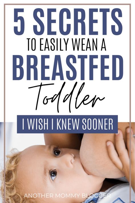 Easily learn how to stop breastfeeding a toddler quickly with these weaning tips. #breastfeeding #toddler How To Wean Toddler From Breastfeeding, Weaning Toddler From Nursing, How To Stop Breastfeeding A Toddler, How To Wean Baby From Breastfeeding, How To Stop Breastfeeding, Mommy Problems, Weaning Toddler, Weaning Breastfeeding, Weaning Baby