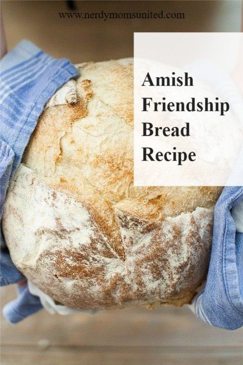 Amish Friendship bread recipes with printable recipe to handout. This is a fun way to share the joy of baking with your friends or to meet a new neighbor. The Amish Friendship Bread can also be frozen to be used at a later date. I also have the print-out for the Amish Friendship Bread recipes that goes with the bags you will handout. Amish Friendship Bread starter recipe printable |  Amish friendship bread variations Amish Friendship Bread No Pudding, Amish Friendship Bread Recipes From Starter, Friendship Bread Recipes With Starter, Amish Starter Recipes, Amish Friendship Bread Variations, Amish Friendship Starter, Amish Friendship Bread Recipes, Amish Starter, Starter Dough