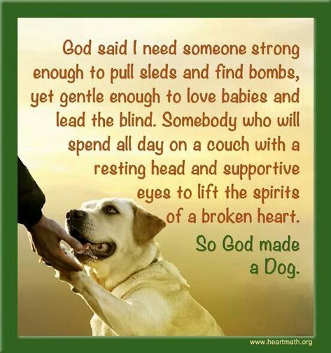 So God Made A Dog Poem | So God made a dog... Dog Poems, God Quotes, Thank You God, Need Someone, Dog Quotes, Doctor Strange, Unconditional Love, I Love Dogs, Love Letters