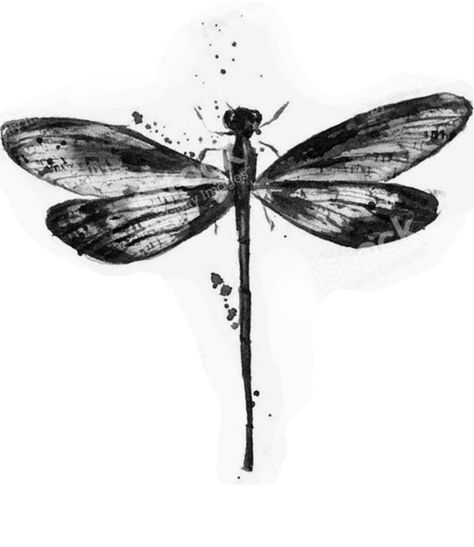 Dragonfly Sketch Simple, Black Dragonfly Tattoo, Watercolor Dragonfly Tattoo, Dragon Fly Tattoo, Tattoo Silhouette, Biblical Tattoos, Jagua Tattoo, Sketch Style Tattoos, Flying Tattoo