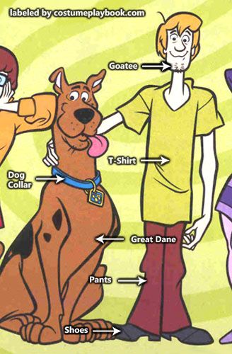 Costume Guide - Shaggy's outfit is a no-brainer! True to his name, he has a goatee and a very slouchy outfit Shaggy Outfit, Shaggy Costume, Slouchy Outfit, Scooby Doo Costumes, Shaggy Scooby Doo, Shaggy Rogers, Shaggy And Scooby, Costume Guide, Book Week Costume