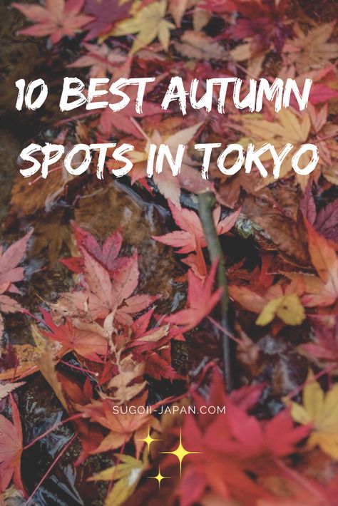 TOP 10 Autumn Leaves Spots in Tokyo - Don't miss out these 10 amazing places during Autumn in Tokyo  #Autumn #Momiji #Koyo #Tokyo #Japan #Travel #Blog #SugoiiJapan Autumn Outfits In Japan 2023, Japan Travel Outfit Autumn, Fall In Japan, Tokyo Autumn, Tokyo Places To Visit, Tokyo In Autumn, Japan Ootd, Kyoto In Autumn, Autumn In Japan Photography