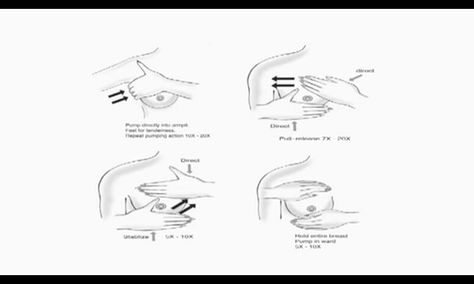 Healthy Lactation Breast Massage When To Start Perineal Massage, Massage Steps, Breast Massages For Milk Production, Breastfeeding Supply Increase, Lactation Recipes With Brewers Yeast, Breast Massage, Milk Production, Lactation Consultant, Postpartum Care