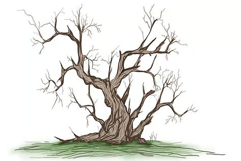 How to Draw a Dead Tree - A Step-by-Step Guide How To Draw A Bare Tree, Dead Tree Drawing, How To Draw A Tree, Tree Trunk Drawing, Animation Help, Drawing Dead, Tips For Drawing, Forest Drawing, Dead Tree