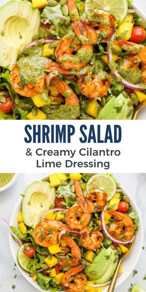 This wholesome Shrimp Avocado Mango Salad is a remarkably refreshing meal – you’ll want to whip it up whenever you’re hosting friends or family! Tangy cilantro lime dressing is drizzled over a dreamy mix of smoky pan-seared shrimp, juicy cherry tomatoes, nutty pepitas and more. Bar B Q Shrimp Recipe, Chicken And Shrimp Salad, Cilantro Lime Shrimp Salad, Mango Shrimp Salad, Healthy Dinner Party Recipes, Shrimp Salads, Avocado Mango Salad, Tropical Shrimp, Poolside Lunch