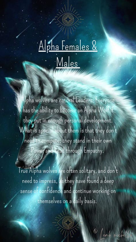 Everyone has the ability to become an Alpha Wolf if they put in enough personal development. Alphas stand in their own Power & lead through Empathy. Wolf Quotes Alpha Female, Alpha Wolf Quotes, Alpha Wolf Tattoo, Wolf Personality, Werewolf Couple, Alpha Female Wolf, Wolf Mentality, Wolf Meaning, Alpha Meaning