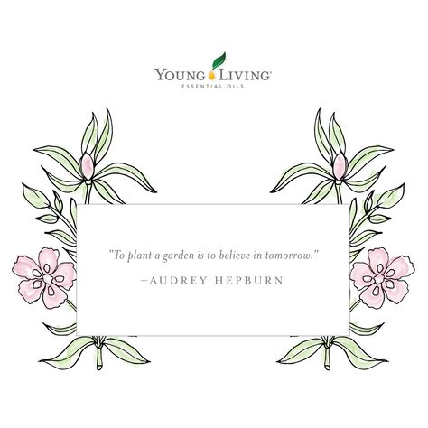 Essential Oils Quotes, Oil Quote, Essential Oil Usage, Plant A Garden, Likeable Quotes, Massage Business, Yl Oils, Quote Inspirational, Young Living Oils