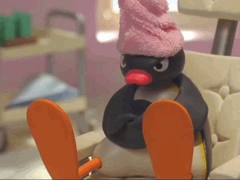 Circular Pfp, Pingu Memes, Pingu Pingu, 밈 유머, Cartoon Memes, Cute Memes, Wholesome Memes, Funny Reaction Pictures, Meme Faces