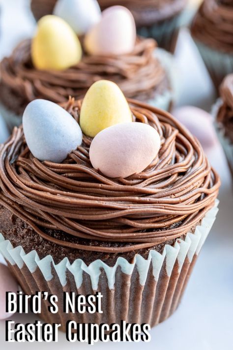 Easy Easter Cupcakes, Chocolate Easter Cupcakes, Easter Cupcakes Decoration, Easter Cupcake Recipes, Easter Birds Nest, Easter Cupcakes Easy, Nest Cupcakes, Homemade Chocolate Frosting, Easy Easter Desserts