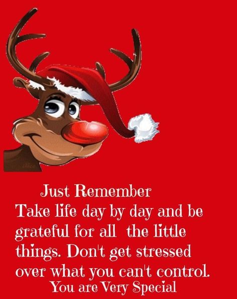 Happy Christmas Quotes, Christmas Morning Quotes, Family On Christmas, Christmas Quotes Inspirational, December Quotes, Christmas Thoughts, Happy Day Quotes, Family Peace, Thinking Of You Quotes