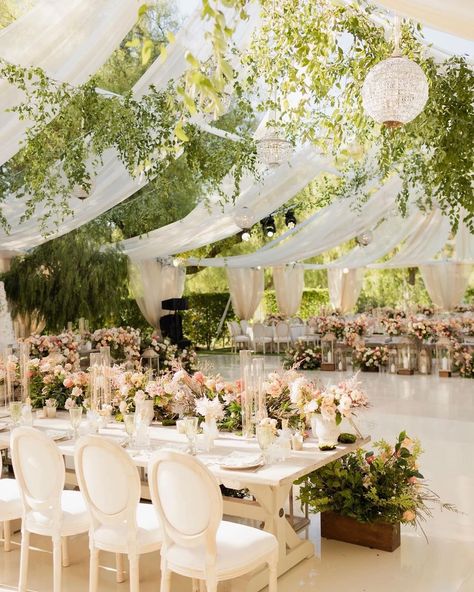 Wedding Reception Ceiling, Wedding Reception Alternatives, Whimsical Reception, Reception Ceiling, Outdoor Tent Wedding, Hummingbird Nest, Wedding Ceiling, Sitting Bull, Wedding Tent