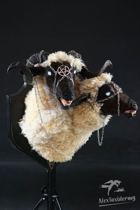 Bone Taxidermy Art, Scary Taxidermy, Cryptid Taxidermy, Cool Taxidermy, Monster Taxidermy, Goth Taxidermy, Creepy Sheep, Taxidermy Art Weird, Unicorn Taxidermy