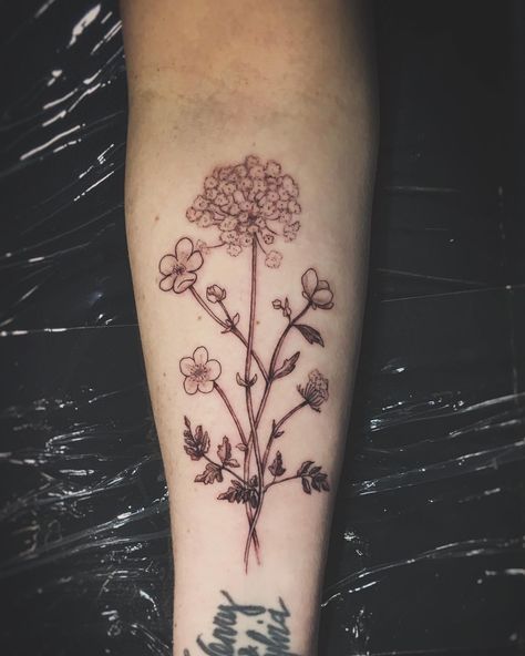 Last one of 2024
Queen Anne lace and buttercups 

#wildflowerstattoo #wildflowers #nativeflowers #finelinebotanical #finelinebotanicaltattoo #tattoolisboa #lisbontattoo #lisbontattooartist Tattoo Queen, Queen Anne Lace, Wildflower Tattoo, Queen Annes Lace, Queen Anne, Last One, Tattoo Artists, Wild Flowers, Queen