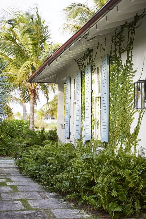 Bakers Bay Bahamas, Creeping Fig Vine, Fig Vine, Creeping Fig, Veranda Magazine, Ocean Front Homes, Bahamas Vacation, British Colonial Style, Stucco Exterior