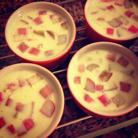 Rhubarb Bread Pudding, Best Rhubarb Recipes, Rhubarb Bread, Rhubarb Custard, Baked Custard, Rhubarb Desserts, British Desserts, Custard Pudding, Custard Desserts