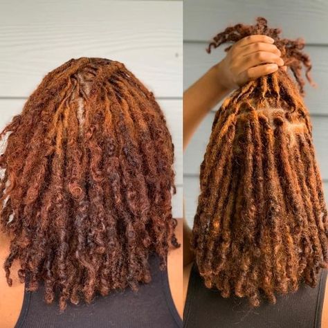 Short Faux Locs With Color, Colored Locs With Curly Ends, Locs With Circle Parts, Loc Color Inspiration, Copper Dyed Locs, Carmel Brown Locs, Comb Coil Locs 4c Hair, Cinnamon Colored Locs, Natural Locs With Color