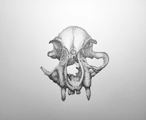 This was an extra credit assignment from the class natural science drawing. My reference was a skull that my friend and I found out in the woods. I did this in one sitting and used 01-03 microns. The majority was done in the 01 size micron. Raccoon Skull Drawing, Raccoon Skull, Science Drawing, Extra Credit, Natural Science, Skull Drawing, A Skull, Stippling, The Class