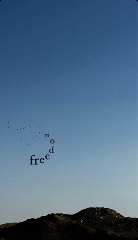 #freedom #birds #sky #lebanon #aesthetic #quotes #pinterest #tiktok #explore #trendy #tbt Freedom Aesthetic Wallpaper, Freedom Astethic, Lebanon Quotes, Lebanon Aesthetic, Freedom Wallpaper, Tbt Quotes, Single Line Quotes, Freedom Aesthetic, Location Freedom