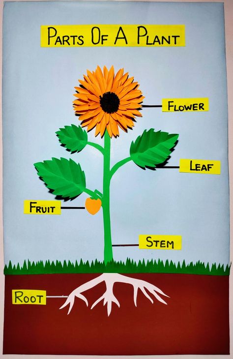 Watch the video for step by step guide Kindergarden Activities Science, Plants For Kindergarten Activities, Teaching About Plants, Parts Of Plants Project For Kids, Plants Projects For Kids, Part Of Plants For Kids, Parts Of The Plants For Kids, Science Charts For Classroom, Parts Of Plants Activities For Kids