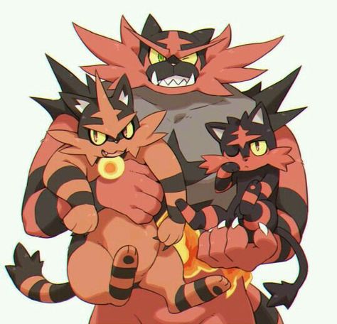 Pokemon Incineroar, Fire Pokemon, Solgaleo Pokemon, Pokemon Moon, Pokemon Starters, Pokemon Alola, Cute Pokemon Pictures, Pokemon Images, Pokemon Comics