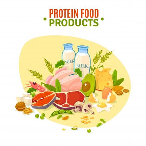 High Protein Foods, 8th Sign, High Fat Diet, Foods To Avoid, Foods To Eat, High Protein Recipes, Flat Illustration, Protein Foods, Diet And Nutrition