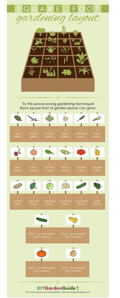 Raised Bed Garden Layout, Veggie Garden Layout, Gardening Layout, Square Foot Gardening Layout, Above Ground Garden, Plants For Raised Beds, Garden Bed Layout, Vegetable Beds Raised, Garden Boxes Raised