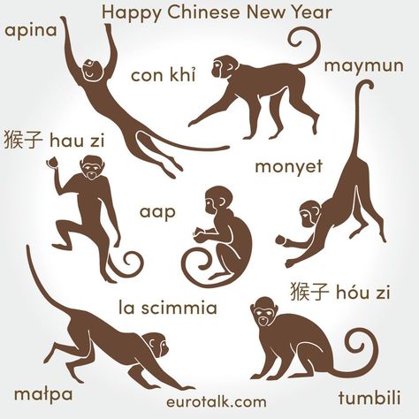 Chinese Monkey Tattoo, Chinese New Year Monkey, Chinese Monkey, Chinese Zodiac Tattoo, Chinese New Year Traditions, Monkey Tattoo, Ang Pow, Monkey Illustration, New Years Eve Dinner